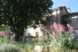 Domaine Fontaine - Visan - 9