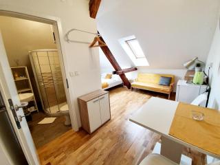 B&B Vila Teslova - Ljubljana - 2