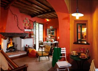 I Veroni - Agriturismo and Wine Cellar - Pontassieve - 6