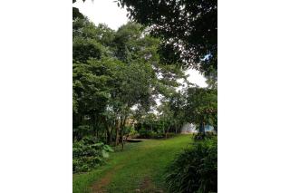 Pousada Luz do Jamacá - 4