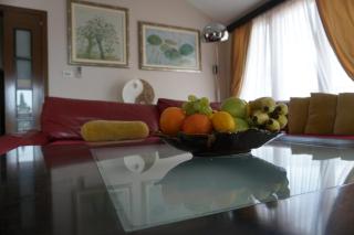 Villa Danile Cosy Apartments - Budva - 5
