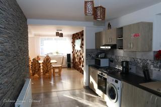 Cabana Ioana - Voronet - 1