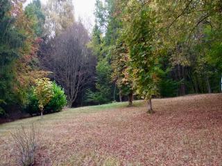 Schöne Aussicht am Eifelsteig - 2