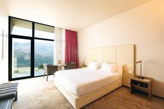 Douro Palace Hotel Resort & SPA - Baião - 7