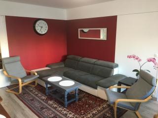 BedinReims "burgundy bottle" 110m2 Exceptional, 4 chambres doubles, 2 bain, free park & wifi, tout équipé - Reims - 2