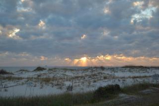 Sundance East - Gulf Shores - 9