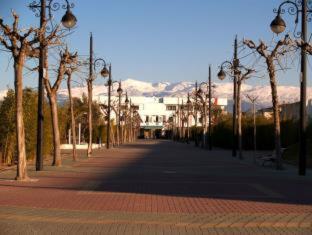 Hotel Corona de Atarfe - Atarfe - 1