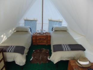 Quatermain's 1920's Safari Camp – Amakhala Game Reserve - 8