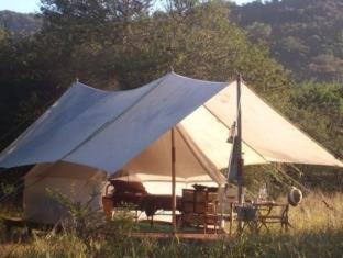 Quatermain's 1920's Safari Camp – Amakhala Game Reserve - Amakhala Game Reserve - 4