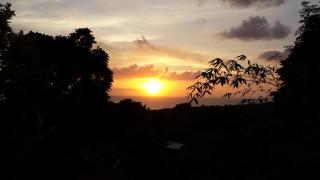 Shades Cottage Guesthouse - Blue Hole - 9