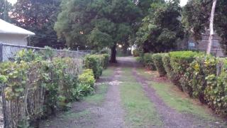 Shades Cottage Guesthouse - Blue Hole - 4