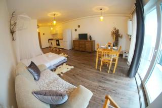 Cluj City Iris Appartment - Cluj-Napoca - 7