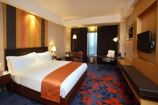 Holiday Inn New Delhi Mayur Vihar Noida by IHG - New Delhi - 4