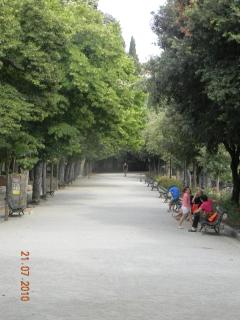 Casa Ermenegilda - Cortona - 4