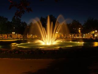 Maponi - Dijon - 2