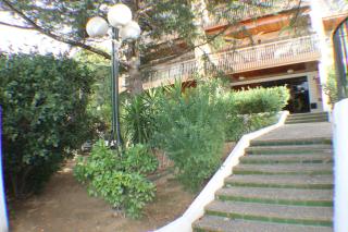 Agi Can Parramon - Roses - 3