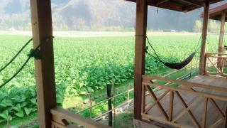 Konglor Eco-Lodge Guesthouse and Restaurant - Ban O - 3
