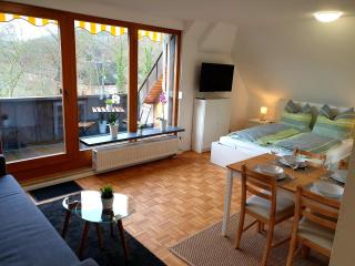 Wohlfühl-Apartment Bad Kissingen IV - Bad Kissingen - 5