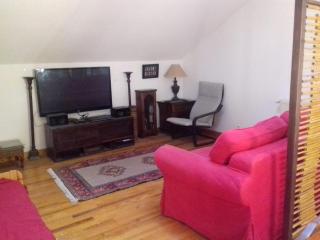 Appartement en loft 50m2 dans maison avec chambre en mezzanine et canapes lits dans salon - 2