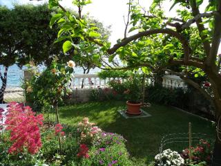 Apartment Vlahov - 2