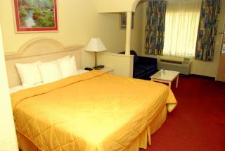 Quality Inn & Suites Fayetteville I-95 - Fayetteville - 9