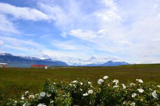 Puerto Bories House, holiday home rentals in Patagonia - Puerto Natales - 3