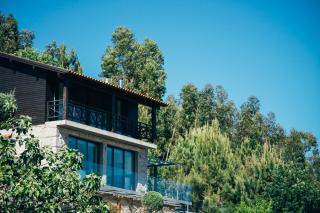 Quinta Cercas da Costa - Vieira do Minho - 7