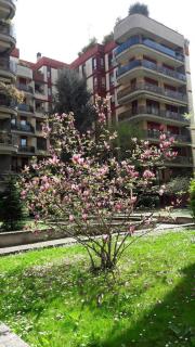 Danae Home - Milan - 8