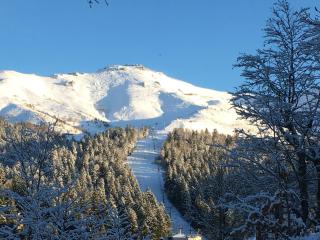 Le Lioran Studio les Myrtilles à 200m des pistes - Le Lioran - 1
