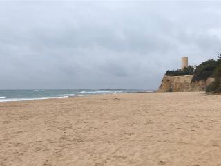 Relax y playa en la Barrosa - 3