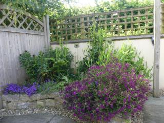 Pear Tree Cottages - Wedmore - 7