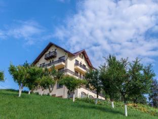 Pensiunea Toscana - Braşov - 8