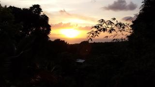Shades Cottage Guesthouse - Blue Hole - 7
