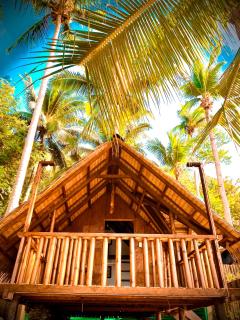 Seasta Beach Resort - Baler - 2