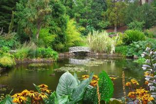 Best Location in Hobart! Luxury 4 bedroom with stunning views - Hobart - 6