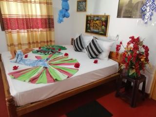 Sigiriya Thilini Homestay - 1
