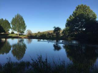 Drakensberg Dream, Champagne Valley - 1