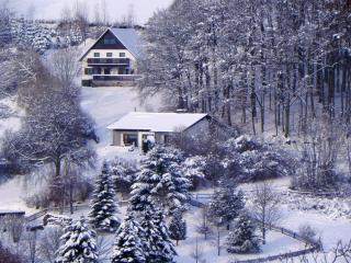 Ferienbungalow Nähe Willingen-Winterberg - Medebach - 0