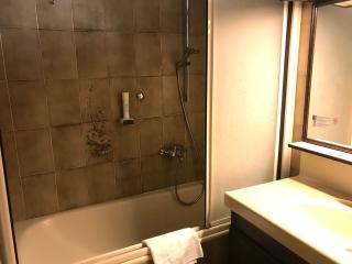 Seehotel Schwan - Gmunden - 9