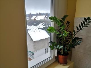Apartman Glomazic - Žabljak - 4