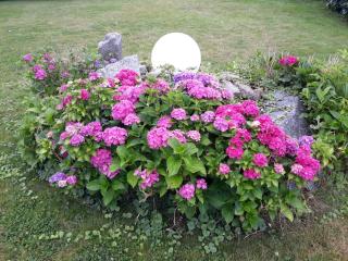 Vittebrook - Barsbek - 2