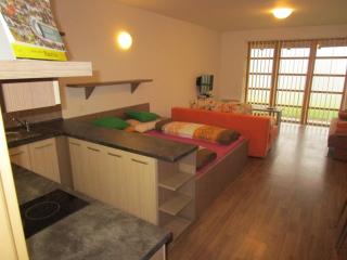 Apartmán Říčky v Orlických Horách - Pustiny - 9