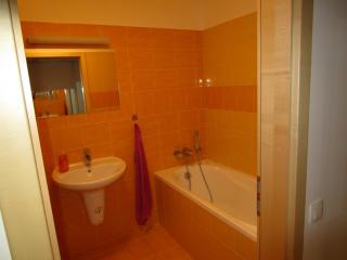 Apartmán Říčky v Orlických Horách - Pustiny - 8