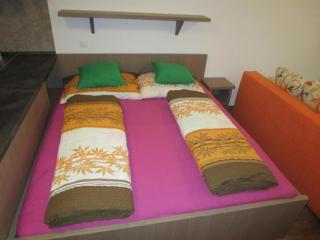 Apartmán Říčky v Orlických Horách - Pustiny - 2