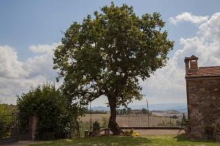 Casale Pian di Fratta - 5