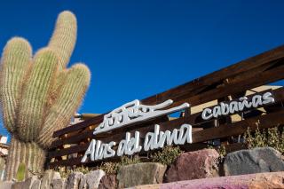 Alas del Alma - 4