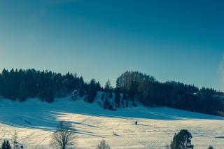 Lajkonik - Jaworki - 2