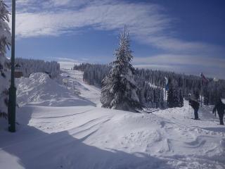 JOPA Suncani breg - Kopaonik - 7
