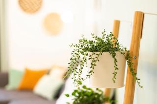 Green & cozy apartment - 15 min to city center - Wenen - 5