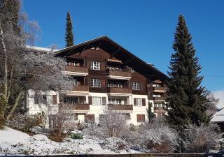 Appartement Rinderblick - Zweisimmen - 9
